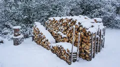 Wie trocknet man Holz im Winter? Die kanadische Methode zum Trocknen von Holz in der Sonne. Einfach, effektiv und ideal für Weichholz.
